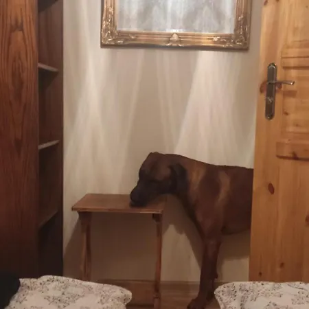 Sielskoanielsko Lomnica (Jelenia Gora)