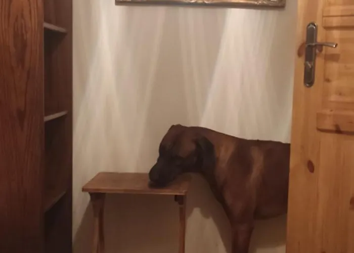 Sielskoanielsko Lomnica (Jelenia Gora)